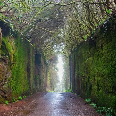 Casa Julia アパート *