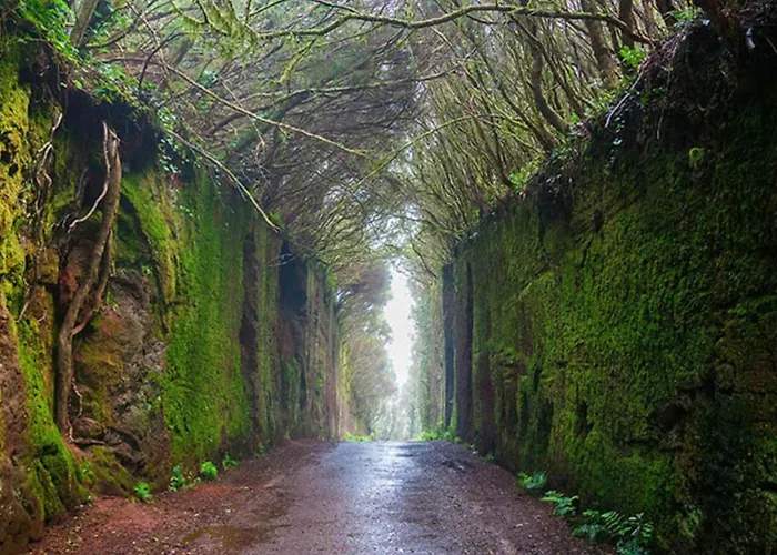 Casa Julia Apartamento *